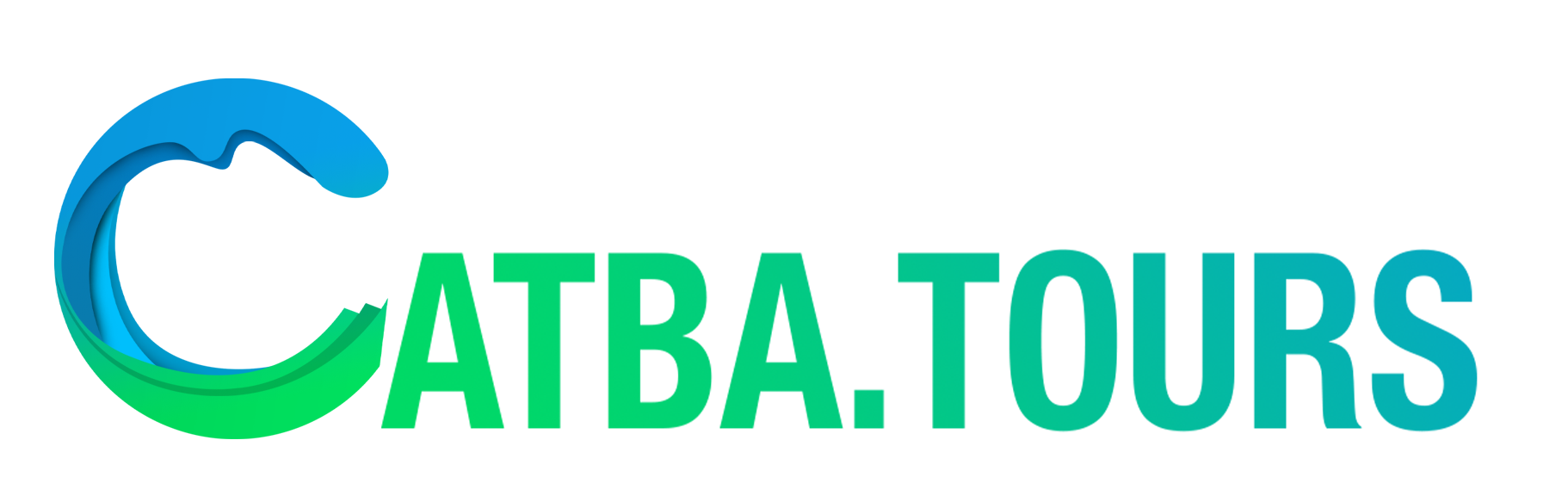 Car Logo