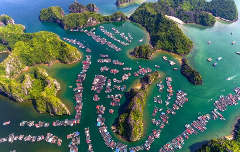 Lan-ha-bay-cruise-from-cat-ba-3