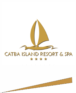 Car Logo