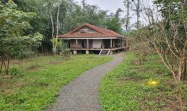 Hachi-Homestay-a-luoi-2
