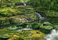 bach-ma-national-park-one-day