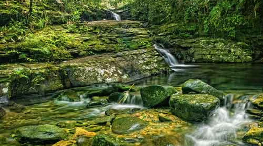 bach-ma-national-park-one-day