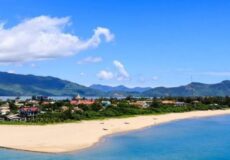 bie-canh-duong-1