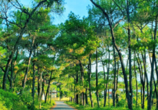 doi-thien-an