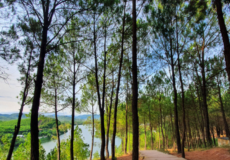 doi-vọng-canh-hill