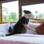 hue-crown-homestay-retreat-1