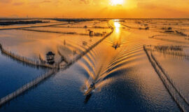 tour-dam-chuon-hue