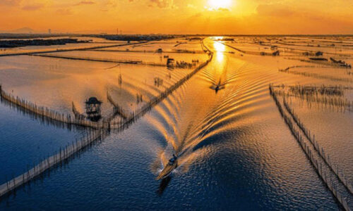 tour-dam-chuon-hue